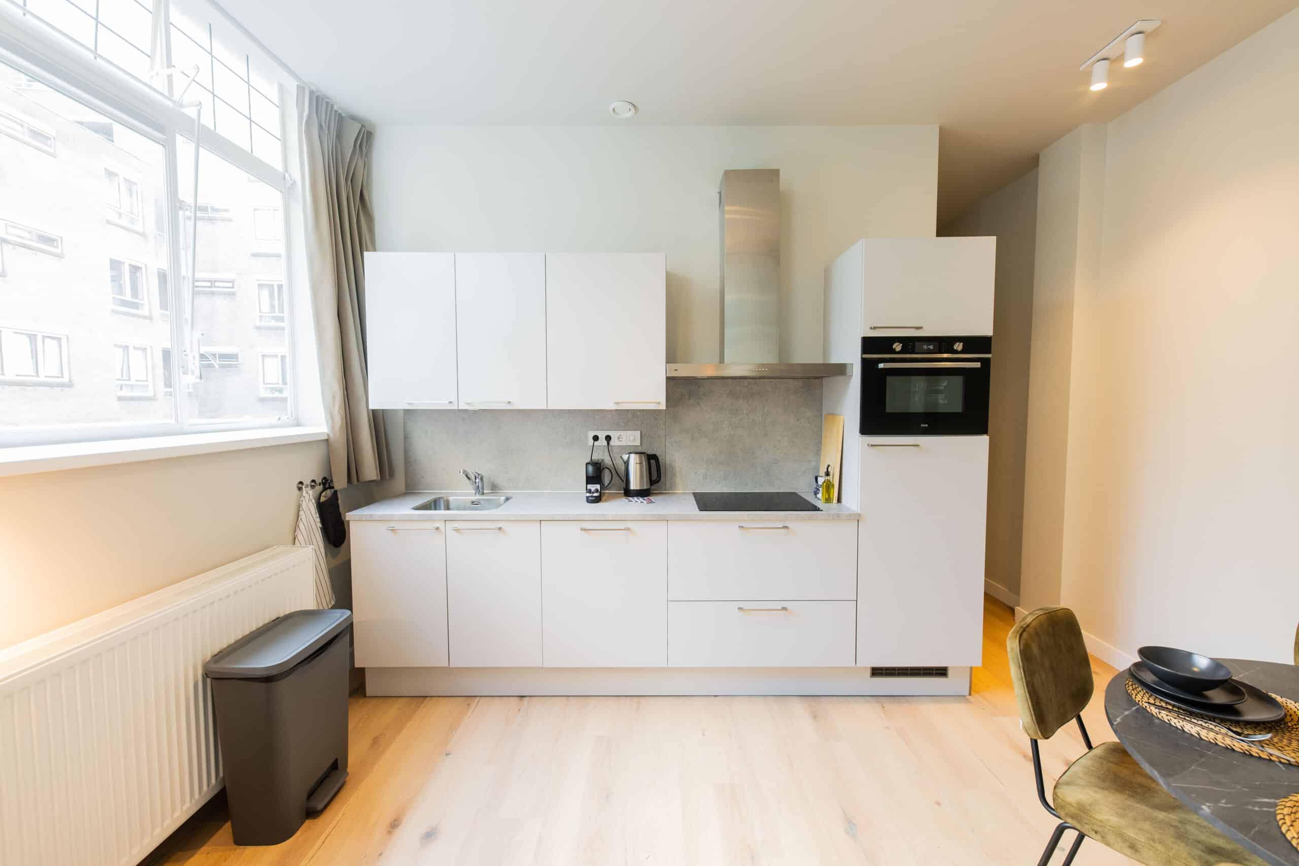 Luxurious Downtown 3BDR Apartment WS, view 5