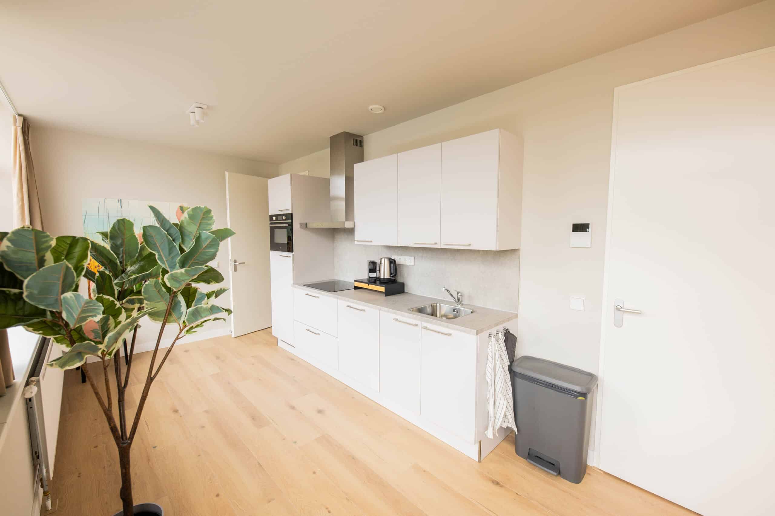 Luxury Serenity 3BDR Apartment WS, view 4