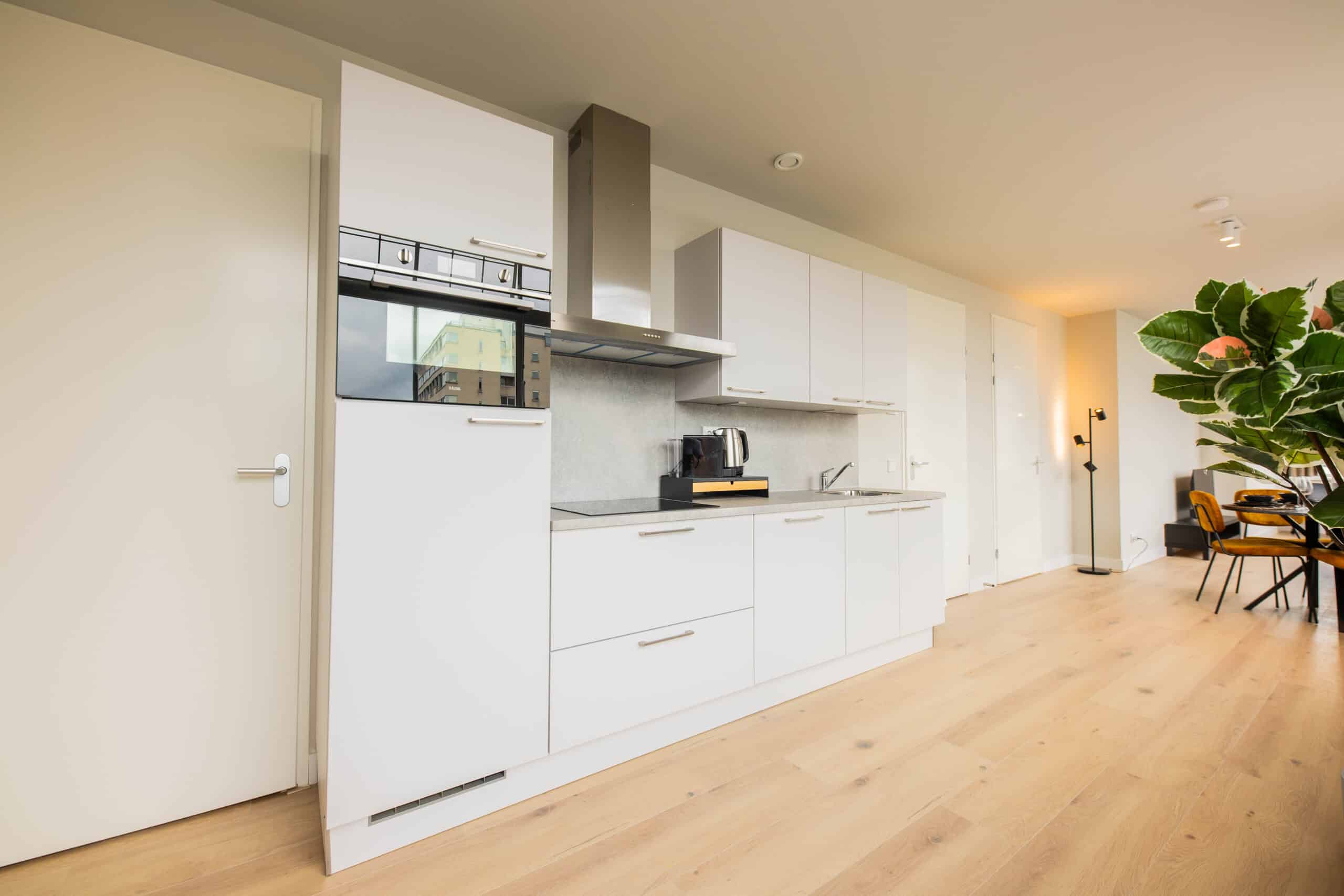 Luxury Serenity 3BDR Apartment WS, view 5