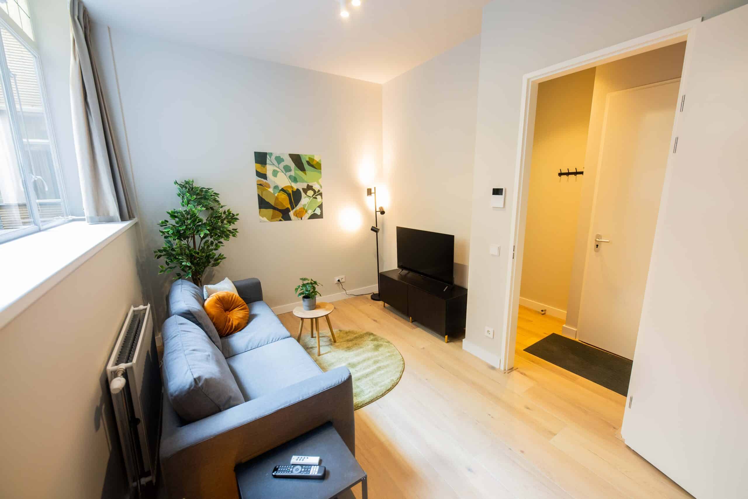 Luxury Urban 3BDR Apartment WS, view 3