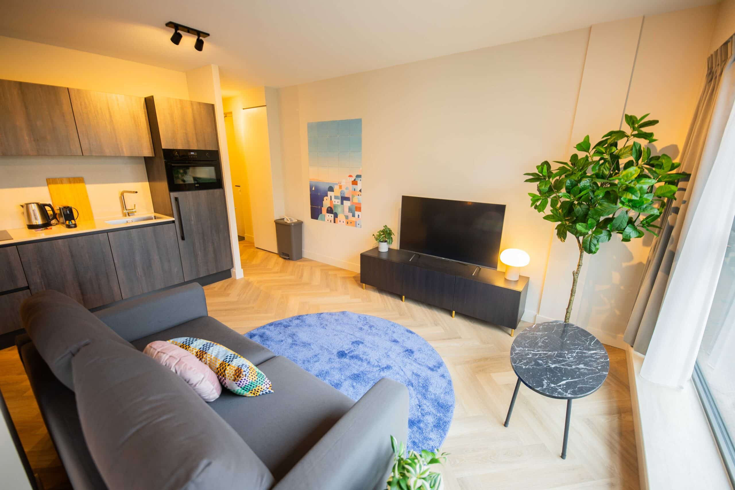 Sleek Cozy Studio KS